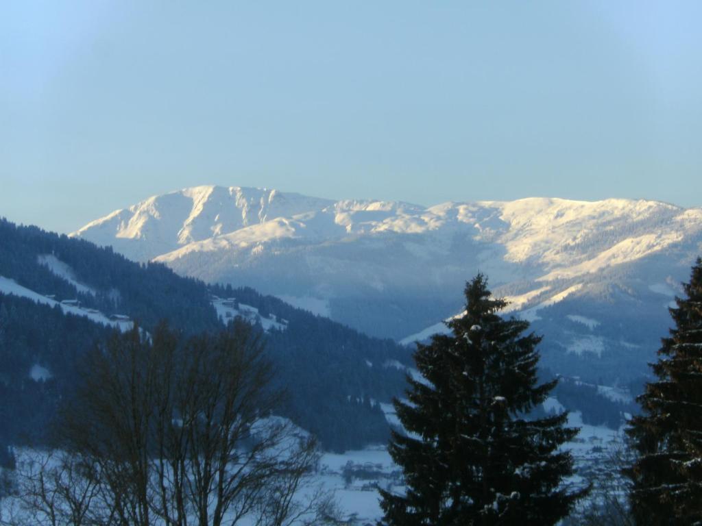 Bauernhof Hundbichl Villa Brixen im Thale Exteriör bild
