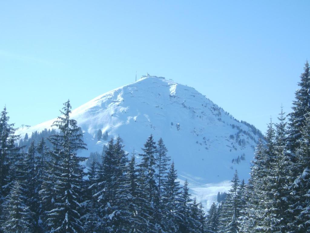 Bauernhof Hundbichl Villa Brixen im Thale Exteriör bild